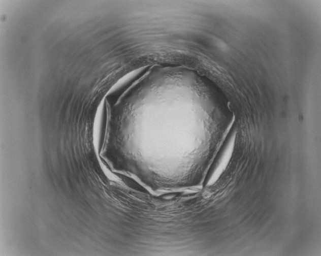 X0000070231060200606161727