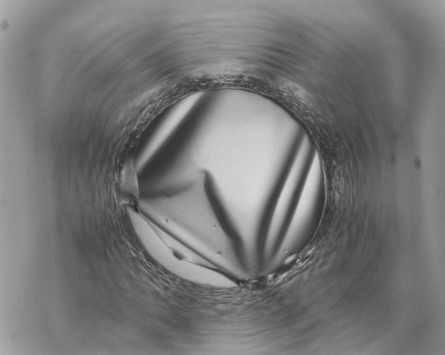 X0000070231062200606161727