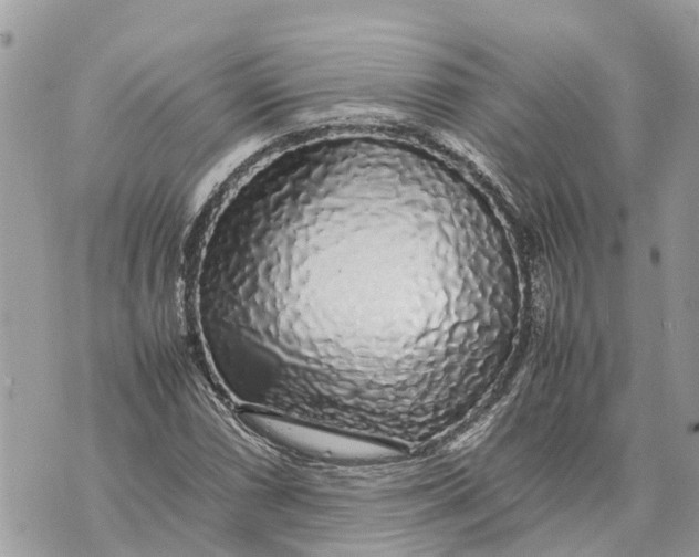 X0000070231066200606161727