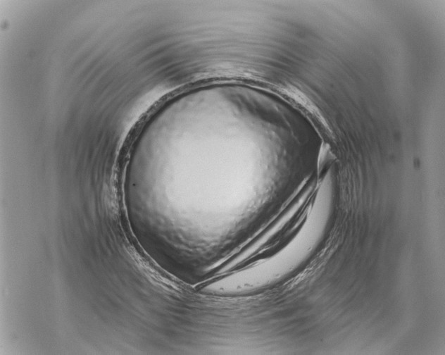 X0000070231068200606161727
