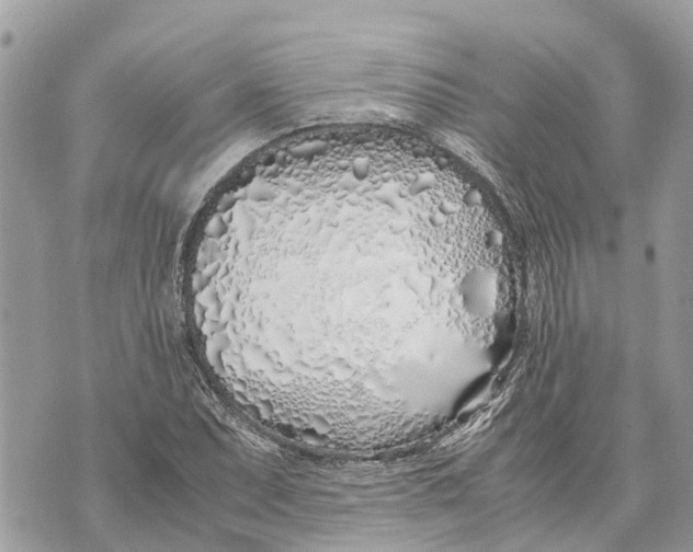 X0000070231071200606161727