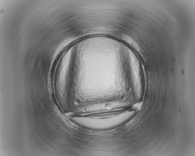 X0000070231072200606161727