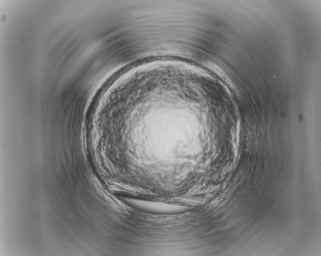 X0000070231076200606161727