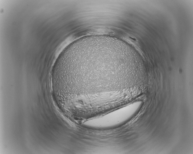 X0000070231083200606161727
