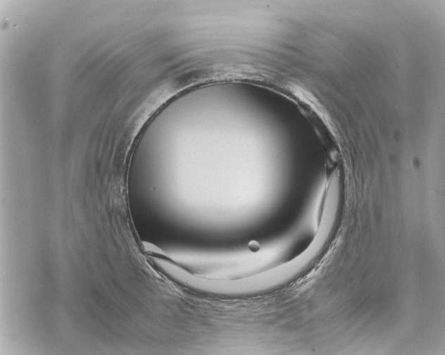 X0000070231089200606161726