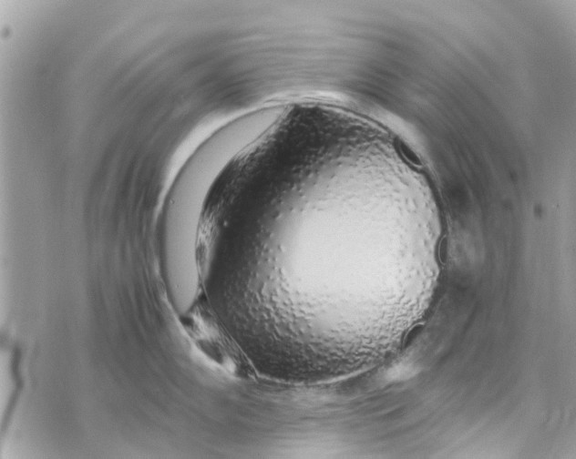 X0000070231102200606161726
