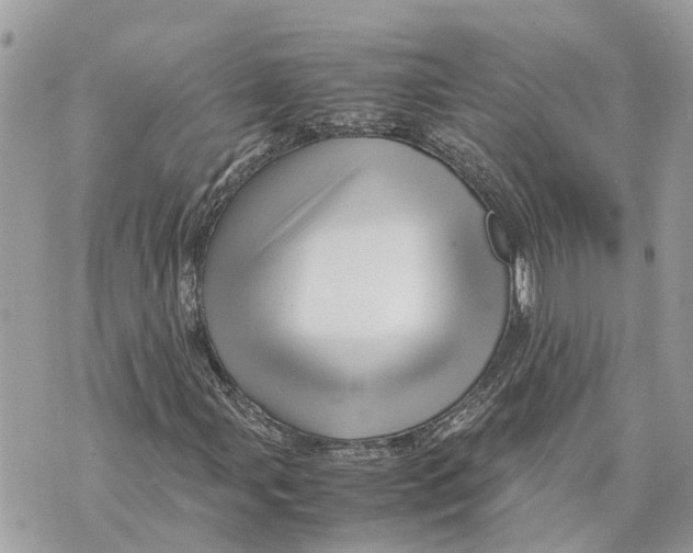 X0000070231107200606161725