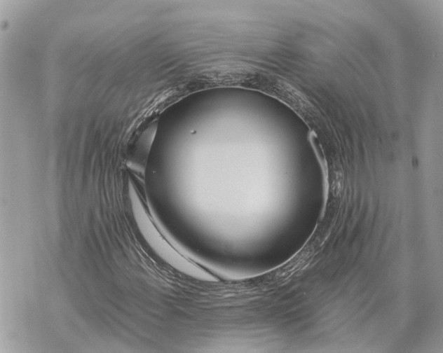 X0000070231108200606161725
