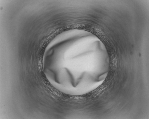 X0000070231109200606161725