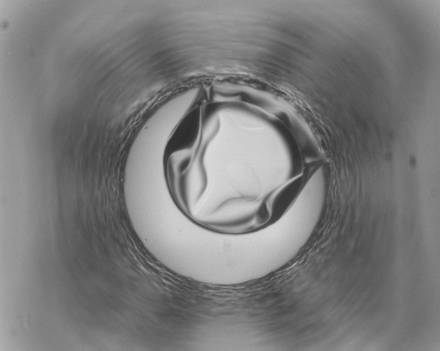 X0000070231110200606161725