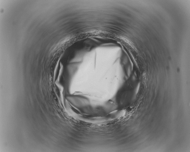X0000070231111200606161725