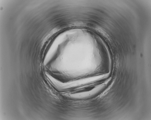 X0000070231117200606161726