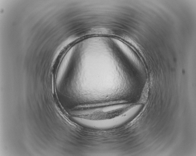 X0000070231123200606161726