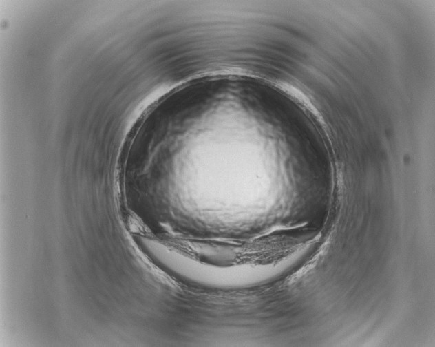 X0000070231133200606161726