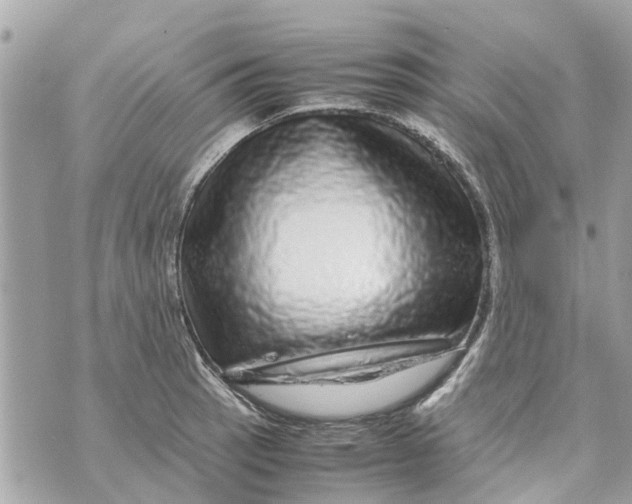 X0000070231137200606161726