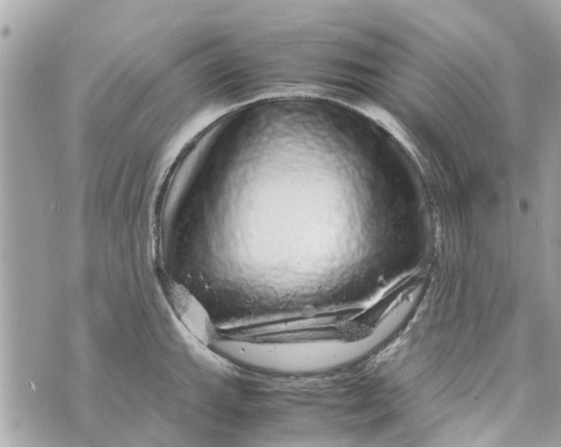 X0000070231143200606161726