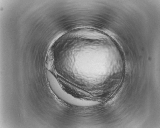 X0000070231145200606161726