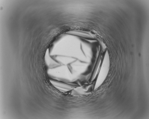 X0000070231153200606161725