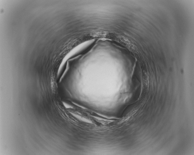 X0000070231154200606161725