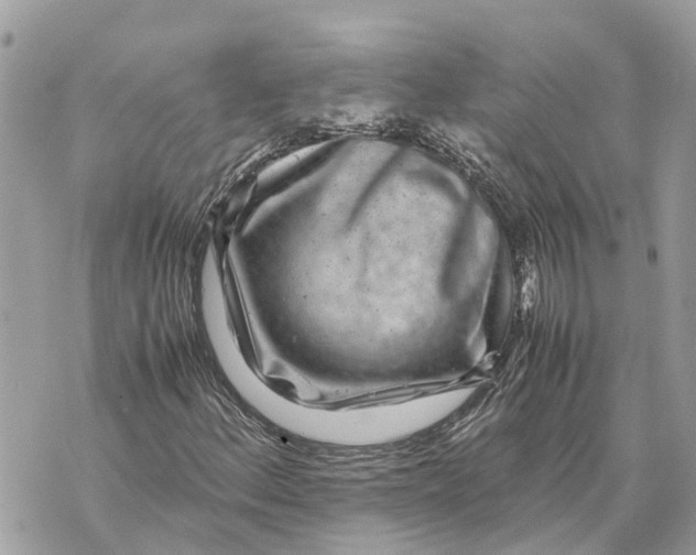 X0000070231156200606161725
