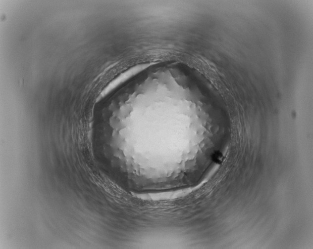 X0000070231158200606161725