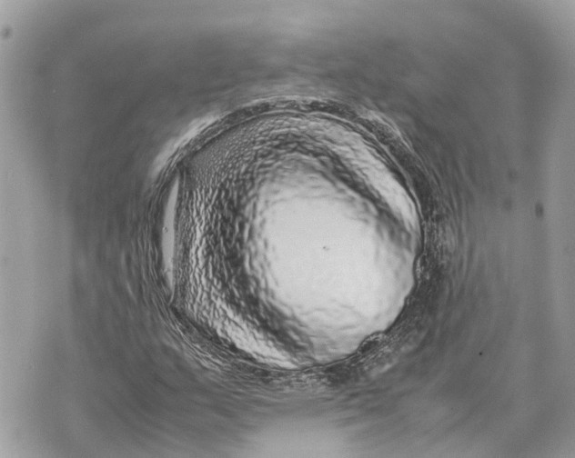X0000070231159200606161725