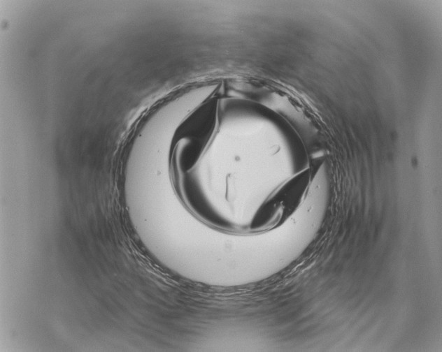 X0000070231160200606161725