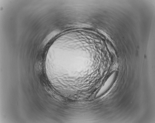 X0000070231163200606161725