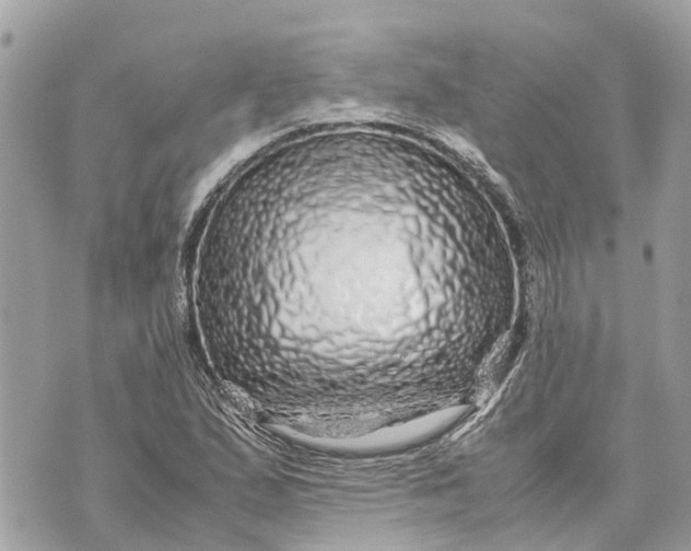 X0000070231167200606161725
