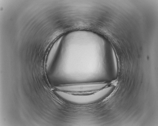 X0000070231170200606161725