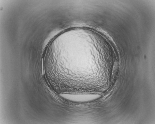 X0000070231175200606161725