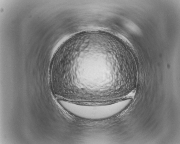 X0000070231183200606161725