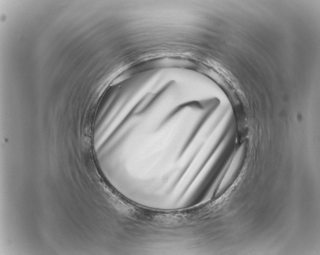 X0000070231185200606161725