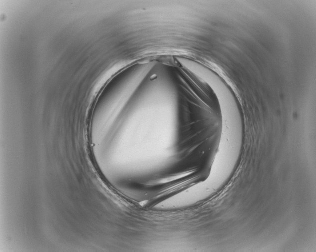 X0000070231187200606161725
