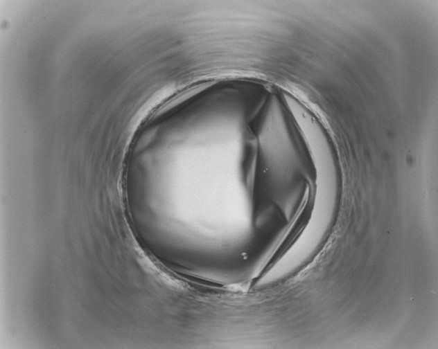 X0000070231189200606161725