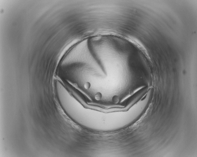 X0000070231190200606161725