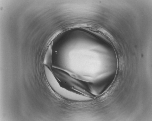 X0000070231193200606161725