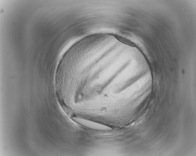 X0000070231199200606161725