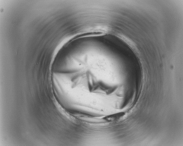 X0000070231200200606161725