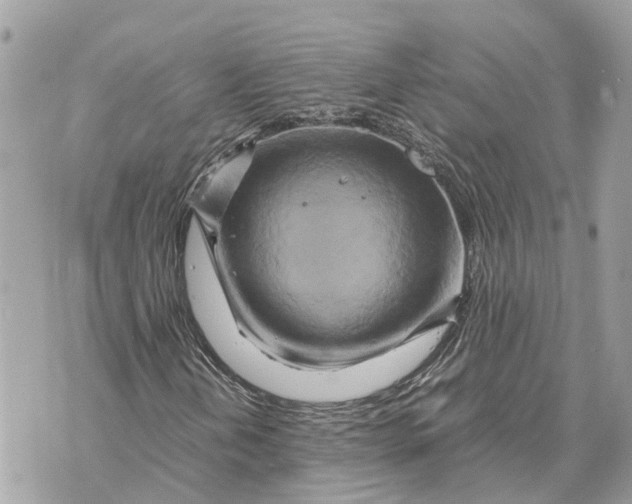 X0000070231202200606161724