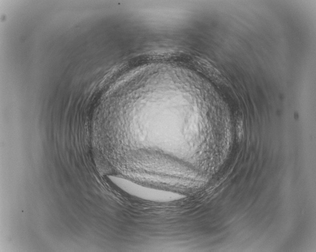 X0000070231204200606161724