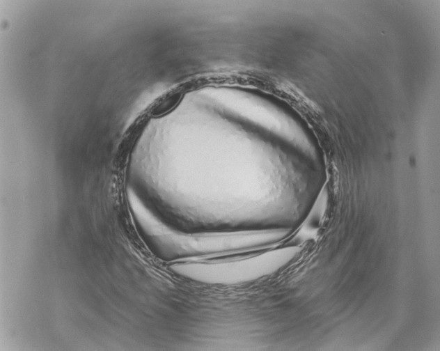 X0000070231208200606161724
