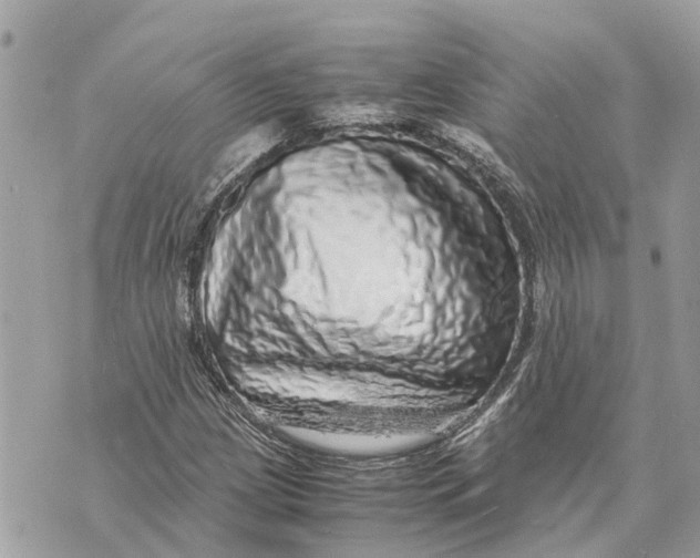 X0000070231209200606161724