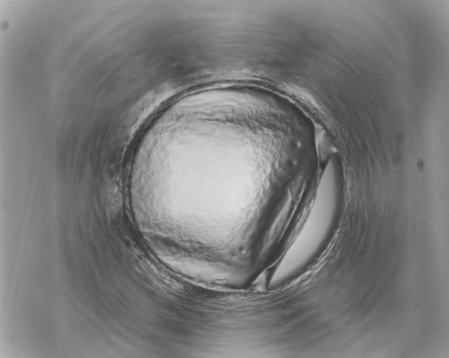 X0000070231212200606161724
