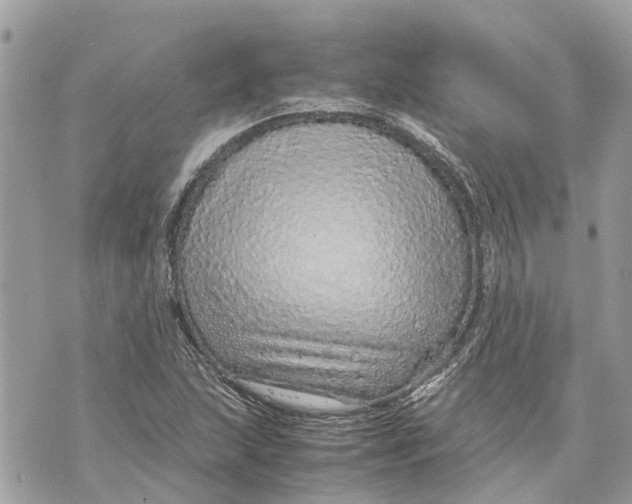 X0000070231215200606161724