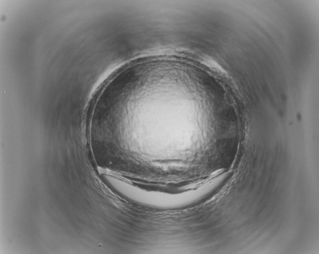 X0000070231216200606161724