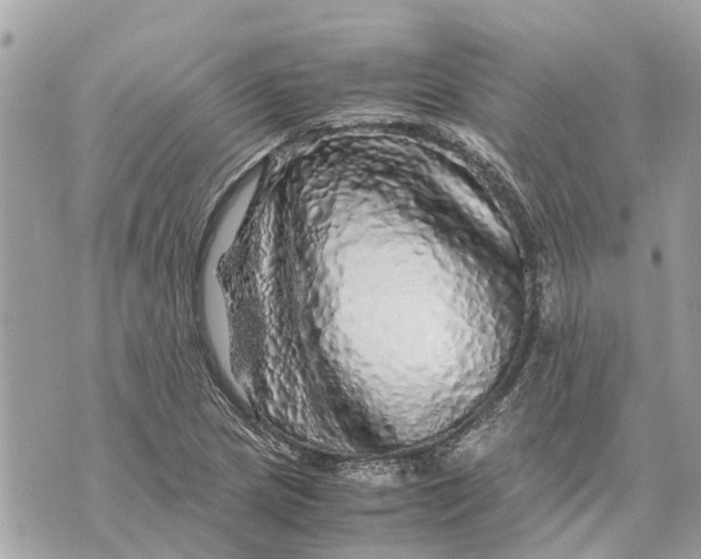 X0000070231217200606161724
