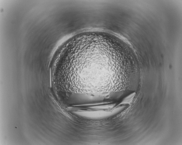 X0000070231223200606161724