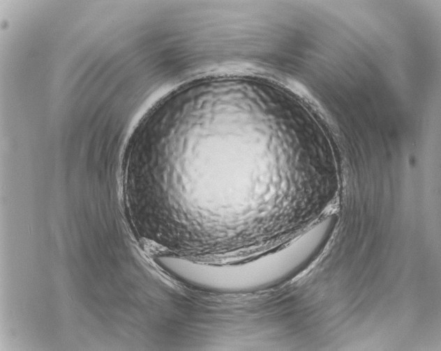 X0000070231232200606161724