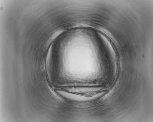 X0000070231241200606161724